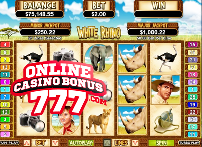 White Rhino Video Slots Games Reviews At RTG Casinos